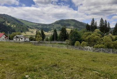 Teren de 4000 mp, în Dorna-Arini - 4