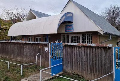 Casă cu 2 camere în Cozia - 1