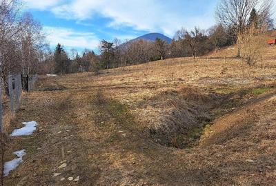 Teren de 18000 mp, în Prundu Bârgăului