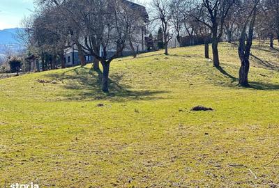 Teren de 10660 mp, în Bran - 3