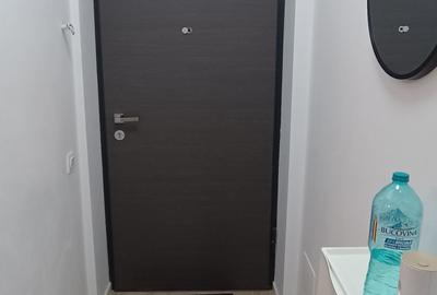 Garsonieră decomandată, mobilată în Grozăvești - 12