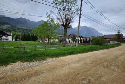 Teren Construcții intravilan de 2675 mp, în Poiana Țapului - 1