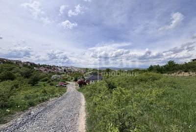 Teren Construcții intravilan de 959 mp, în Dezmir - 4
