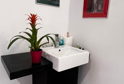 Apartament cu 2 camere decomandat în Dosu Bricii - 3
