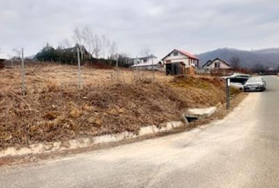Teren agricol intravilan de 1600 mp, în Tăuții-Măgherăuș - 6