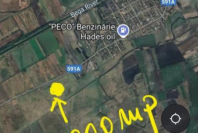 Teren de 6000 mp, în Sânmihaiu Român - 3