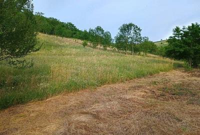 Teren de 4000 mp, în Florești - 3