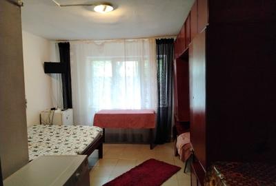 Garsonieră decomandată în Nicolina - 2