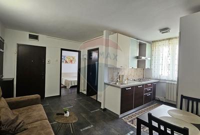 Apartament cu 2 camere decomandat, mobilat în Precista - 9