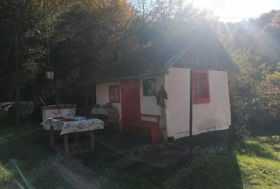 Casă cu 4 camere în Barbura - 1