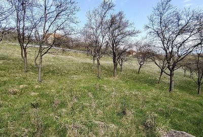 Teren de 2700 mp, în Ghelari - 4