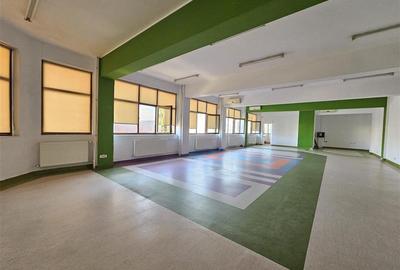 Birou, de 813 mp, în Viilor - 2