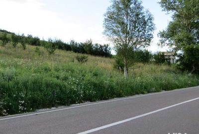Teren de 3600 mp, în Gârcina - 7
