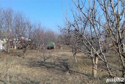 Teren de 2300 mp, în Blidari (Cârligele) - 5
