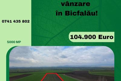 Teren intravilan de 5000 mp, în Bicfalău