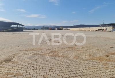 Spațiu industrial, de 250 mp, în Sebeș - 2