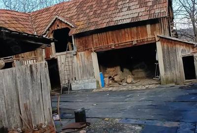 Casă cu Teren 5000 Mp în Roșia de Amaradia