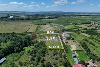 Teren Construcții intravilan de 7352 mp, în Cicârlău - 4