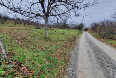 Teren de 3989 mp, în Central - 1