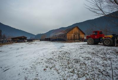 Spațiu industrial, de 450 mp, în Borca - 2