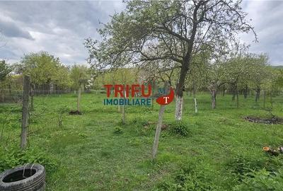 Casă cu 4 camere cu Teren 1660 Mp în Galda de Jos - 2
