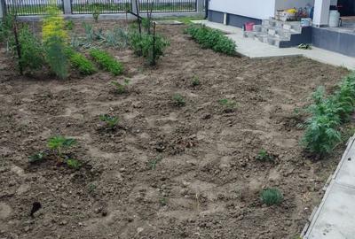 Casă cu 4 camere în Buleta - 7