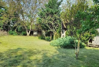 Casă cu 3 camere cu Teren 1440 Mp în Valcău de Jos - 9