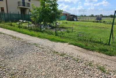 Casa si curte 7,5 ari zona melody str petuniei - 3