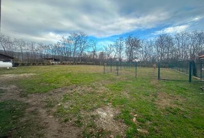 Super Ofertă! Teren Intravilan+Extravilan Gorj - 9