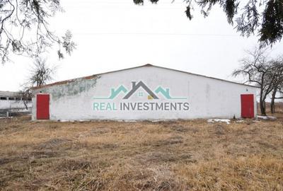 Spațiu comercial, de 20,000 mp, în Semlac - 9