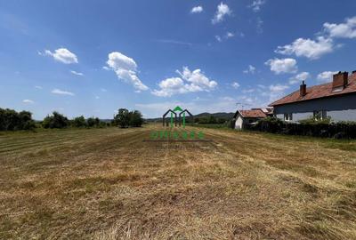 Teren intravilan/Str Balciului/Copacelu - 2