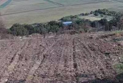 Casă cu 3 camere cu Teren 2500 Mp în Băneasa - 8