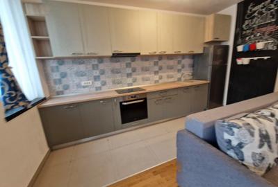 La ISHO-Locatie privilegiata in centrul orasului pe malul Raului Bega, parcare - 3