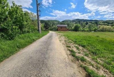 Teren de 5000 mp, în Vlădesti - 2