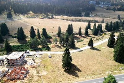 Teren de 5085 mp, în Poiana Brașov - 10