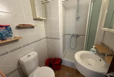 Apartament cu 3 camere decomandat, mobilat în Primăverii - 8
