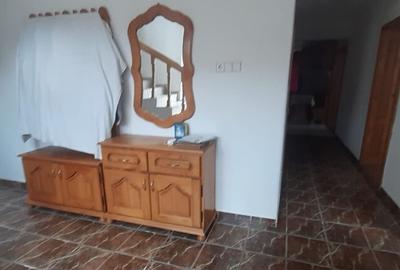 Baia Sprie, casa caramida - 20