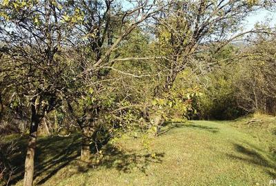 Teren de 2280 mp, în Cerașu - 6