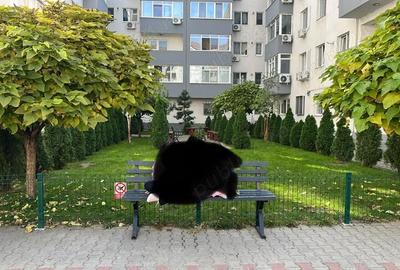 Apartament cu 2 camere decomandat în Metalurgiei - 1