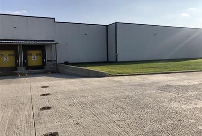 Inchiriere depozit/hala/spatiu industrial Chiajna - A1 - Centura - 2