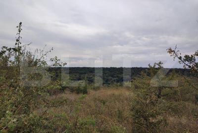 Teren de 9000 mp, în Central - 4