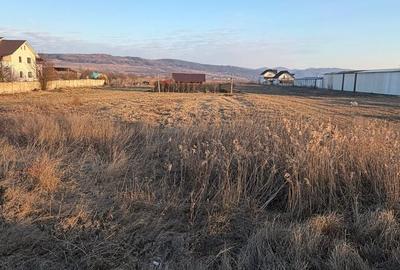 Teren de 1000 mp, în Buhoci - 2