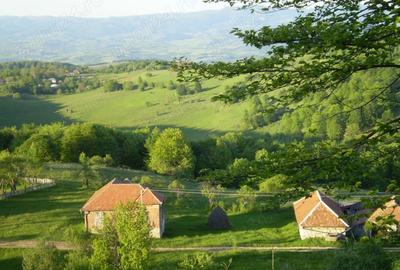 Casă cu 6 camere cu Teren 1200 Mp în Damiș - 9