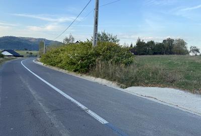 Teren intravilan 500 sau 1000 mp Bran-Tohanita la dum asfaltat - 8