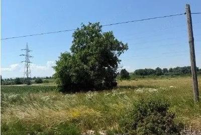 Teren Horodnic de Sus, cota parte 25/104, ID: R2660174 - 7