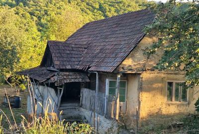 Casă cu 3 camere în Căpruța - 4