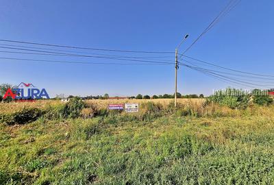Teren Construcții intravilan de 7976 mp, în Crângurile - 29