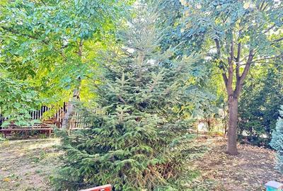 Apartament tip penthouse zona Jetoil Ploiesti - 22