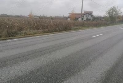 Teren de 3700 mp, în Săcueni - 3