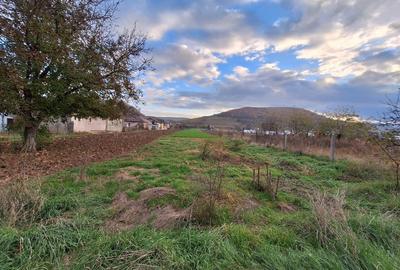 Casa individuala de vanzare cu livada si teren generos in Luna de Sus - 6